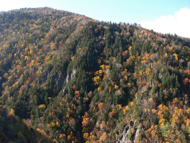 f:id:daisetsuzan:20081012195154j:image