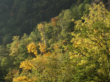f:id:daisetsuzan:20090925203013j:image