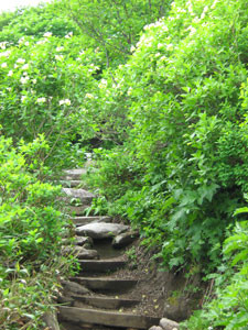 f:id:daisetsuzan:20100702212044j:image