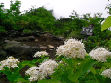 f:id:daisetsuzan:20100705213317j:image:w240