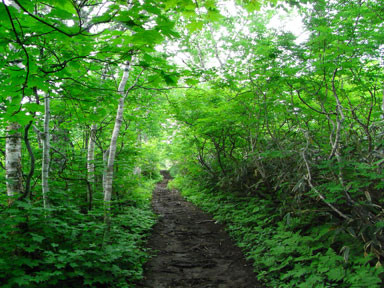 f:id:daisetsuzan:20100705213324j:image:w240