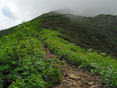 f:id:daisetsuzan:20100705213330j:image:w240