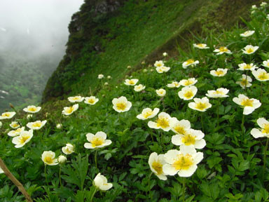 f:id:daisetsuzan:20100705213335j:image:w240