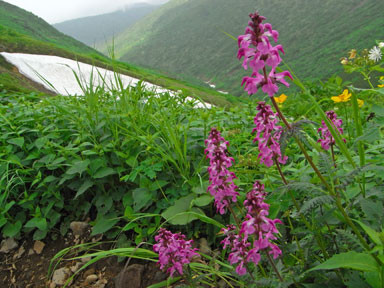 f:id:daisetsuzan:20100705213340j:image:w240