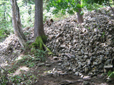 f:id:daisetsuzan:20100826201328j:image