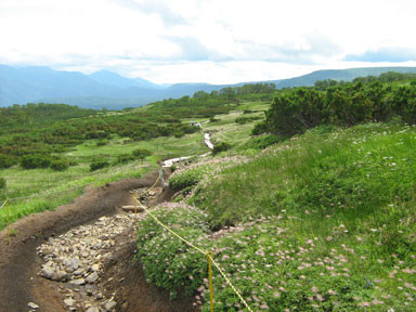 f:id:daisetsuzan:20100826201329j:image