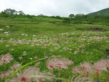 f:id:daisetsuzan:20100826201337j:image