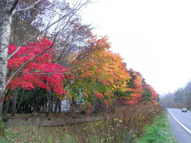 f:id:daisetsuzan:20101012151926j:image f:id:daisetsuzan:20101012151926j:image
