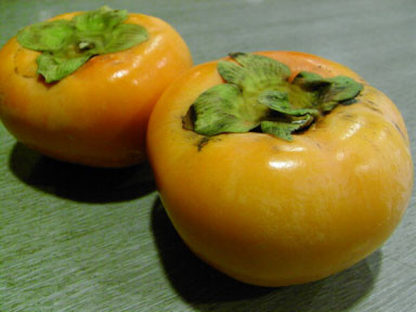 f:id:daisetsuzan:20101123215654j:image:w240 f:id:daisetsuzan:20101123215654j:image:w240