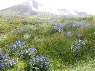 f:id:daisetsuzan:20120902135148j:image