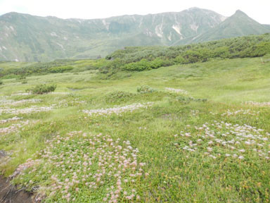 f:id:daisetsuzan:20120902135150j:image