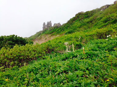 f:id:daisetsuzan:20140623202912j:image f:id:daisetsuzan:20140623202912j:image