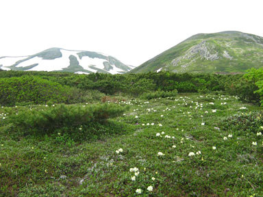 f:id:daisetsuzan:20140702215027j:image f:id:daisetsuzan:20140702215027j:image