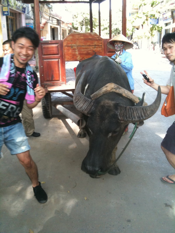 f:id:daisk8techno:20100619170644j:image