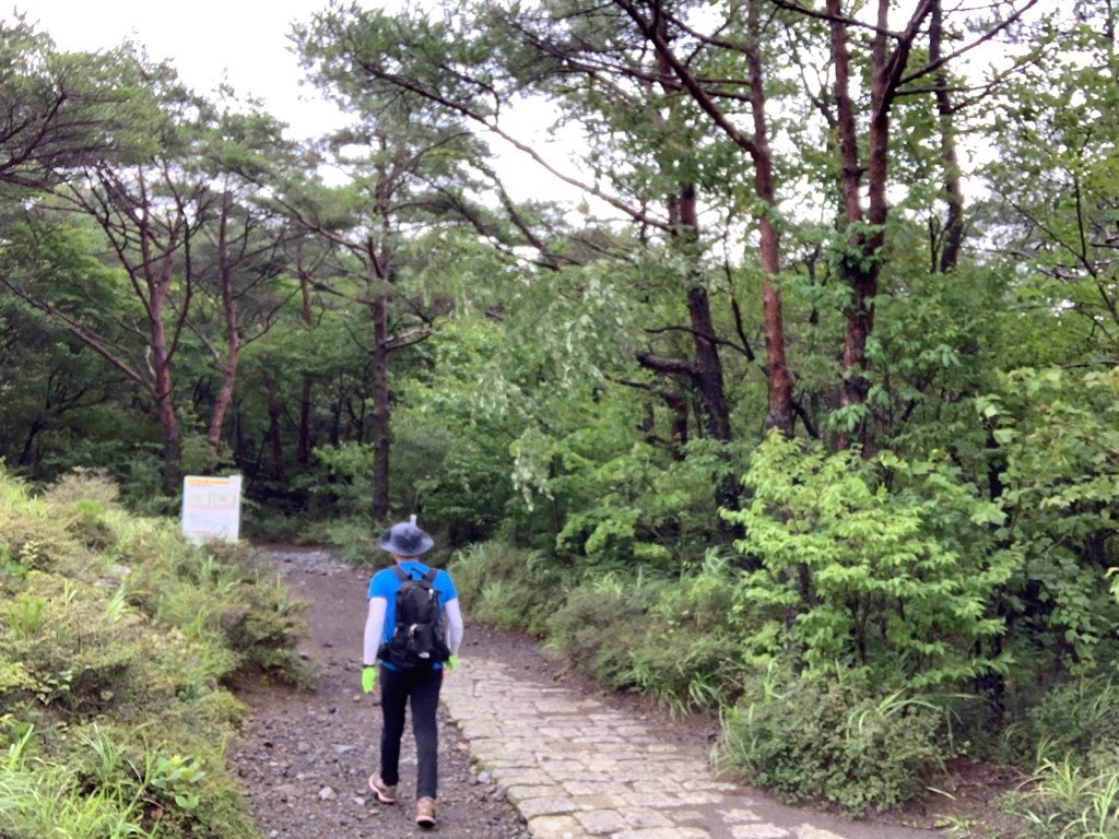f:id:daisodaisuki:20190811163325j:image f:id:daisodaisuki:20190811163325j:image