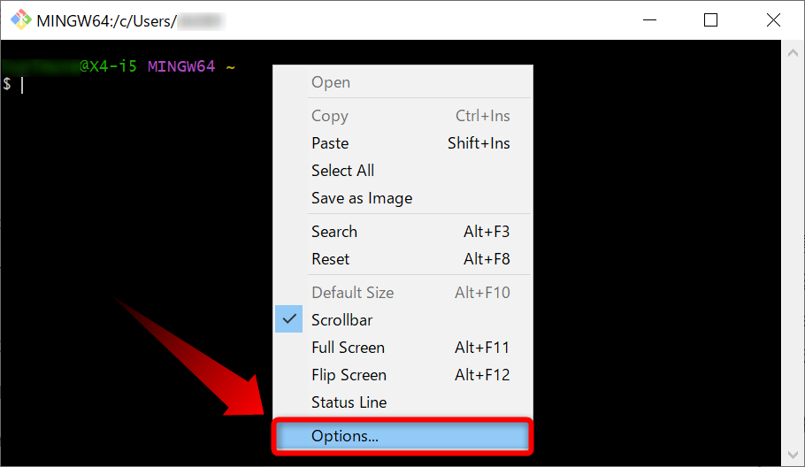 Git BASH の画面を右クリックして、Optionsをクリックする