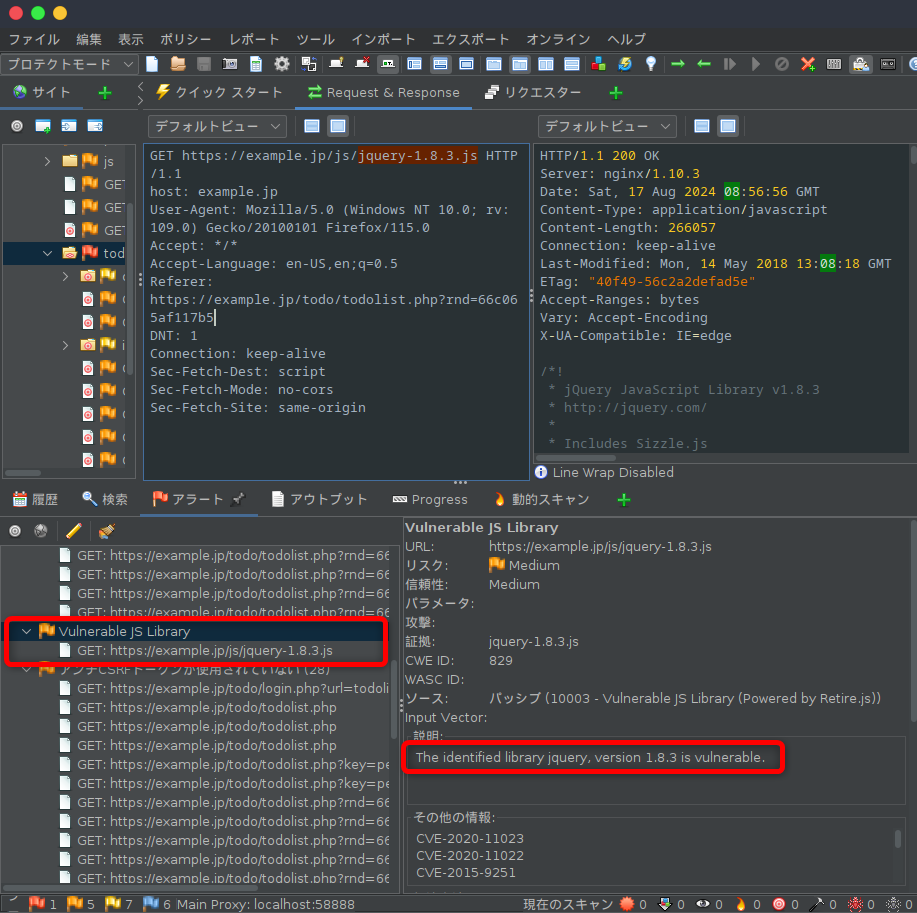 Vulnerable JS Libraryの脆弱性の確認