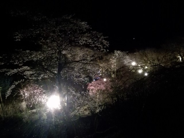 f:id:daisuke550422:20190406214613j:image f:id:daisuke550422:20190406214613j:image