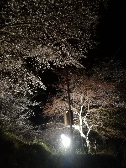 f:id:daisuke550422:20190406214628j:image f:id:daisuke550422:20190406214628j:image