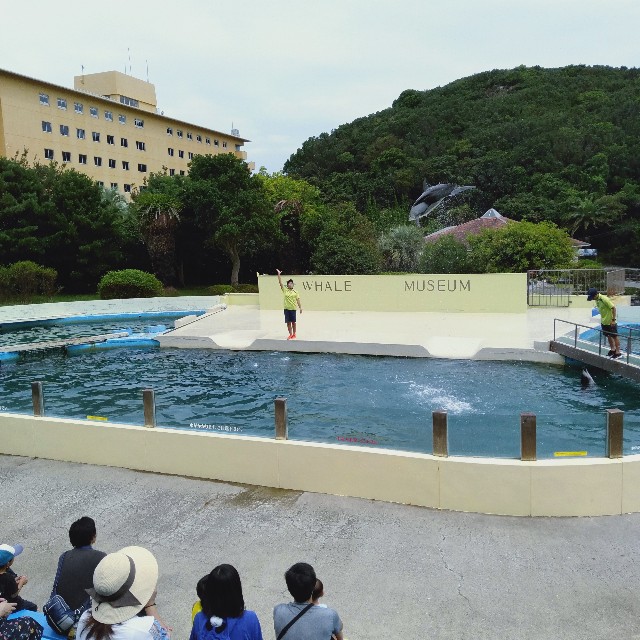 f:id:daisuke550422:20190908211539j:image f:id:daisuke550422:20190908211539j:image