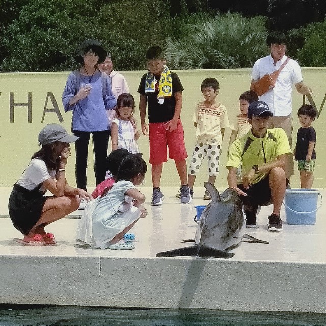 f:id:daisuke550422:20190908211625j:image f:id:daisuke550422:20190908211625j:image
