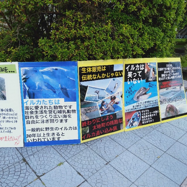 f:id:daisuke550422:20190908211708j:image f:id:daisuke550422:20190908211708j:image