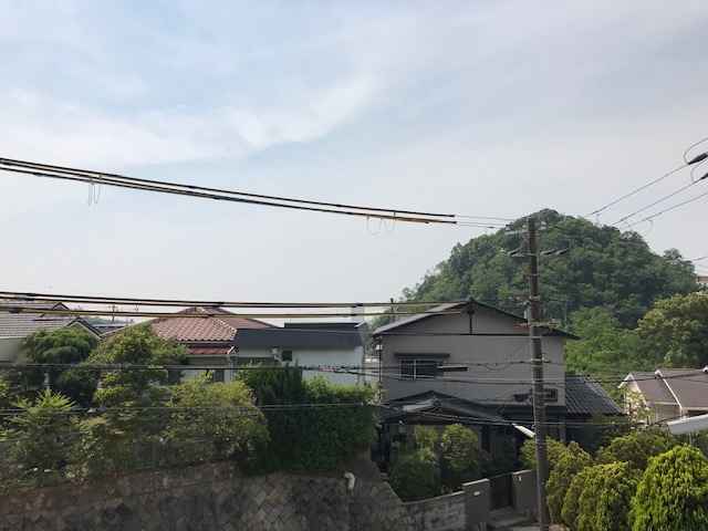 f:id:daisukeshima:20190602164401j:plain