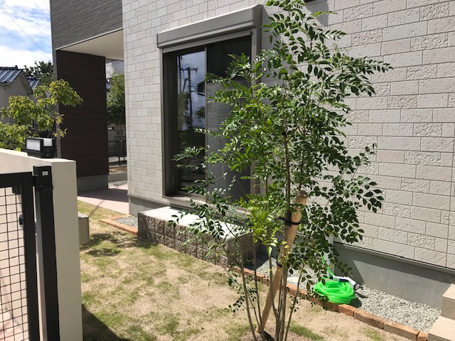 f:id:daisukeshima:20190921103415j:plain