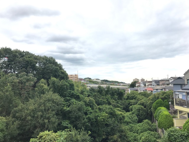 f:id:daisukeshima:20190924163620j:plain