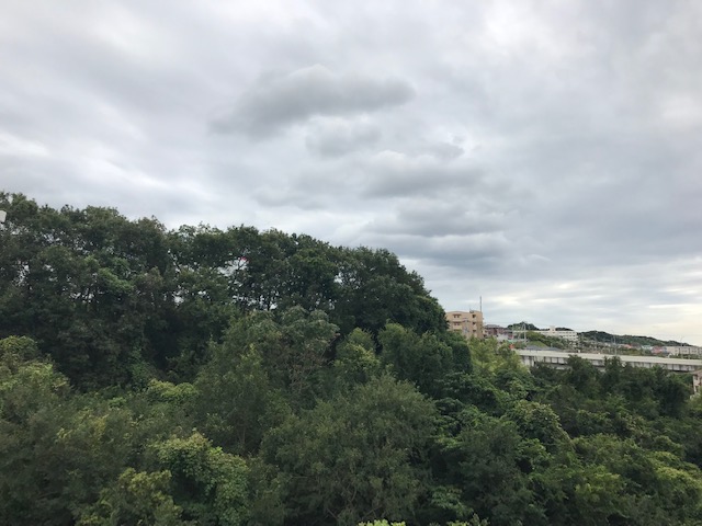 f:id:daisukeshima:20190924163638j:plain