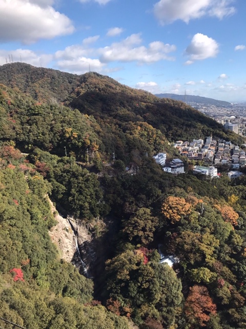 f:id:daisukeshima:20191126153517j:plain