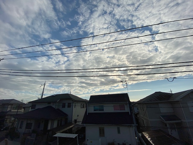 f:id:daisukeshima:20191208135935j:plain