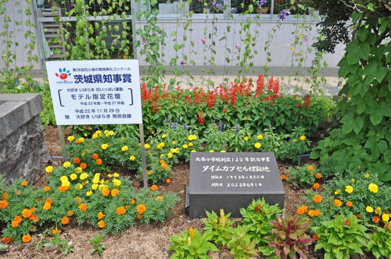 f:id:daisukiibaraki:20110727110251j:image