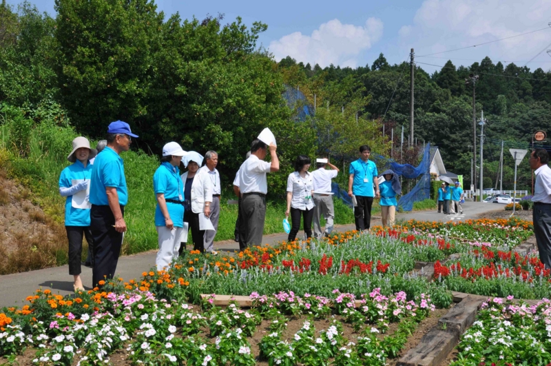 f:id:daisukiibaraki:20120726133857j:image:w640 f:id:daisukiibaraki:20120726133857j:image:w640