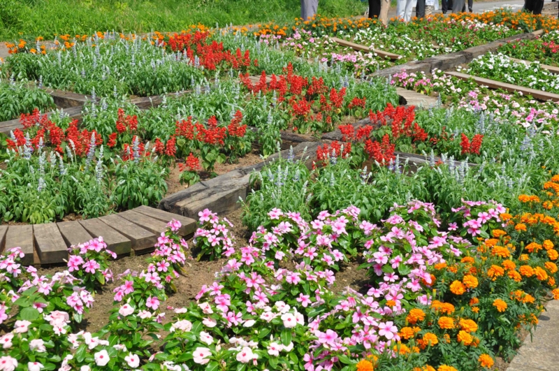 f:id:daisukiibaraki:20120726134218j:image:w640 f:id:daisukiibaraki:20120726134218j:image:w640