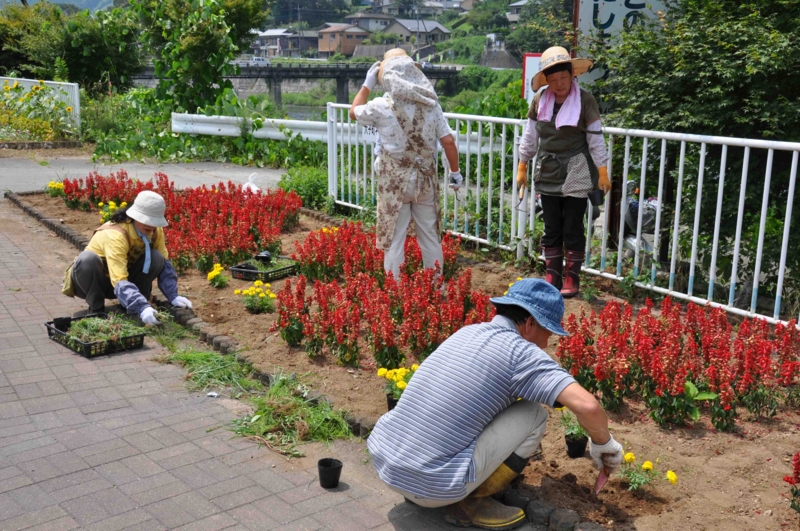 f:id:daisukiibaraki:20120727112137j:image:w640 f:id:daisukiibaraki:20120727112137j:image:w640