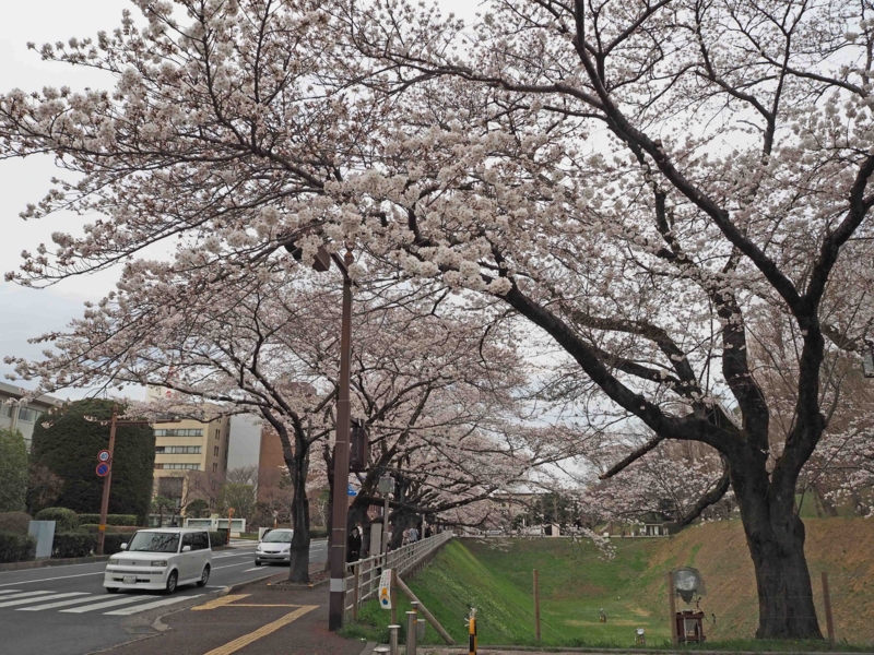 f:id:daisukiibaraki:20140402161653j:image:w640