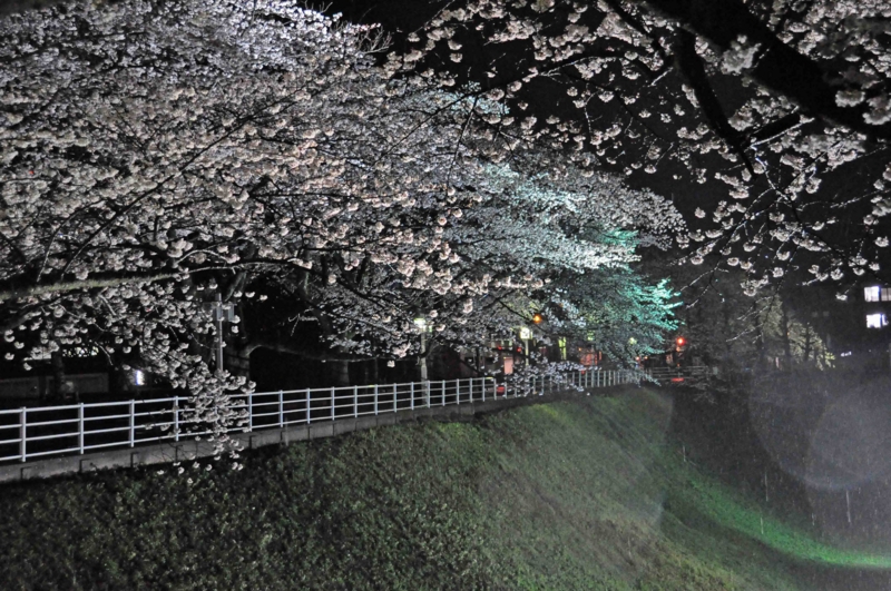 f:id:daisukiibaraki:20140403202237j:image:w640