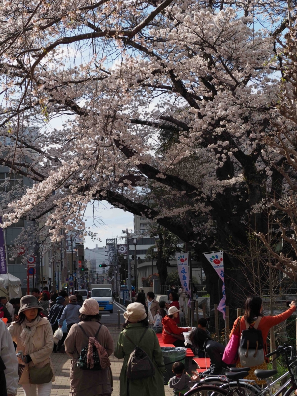 f:id:daisukiibaraki:20140405151210j:image:w360 f:id:daisukiibaraki:20140405151210j:image:w360