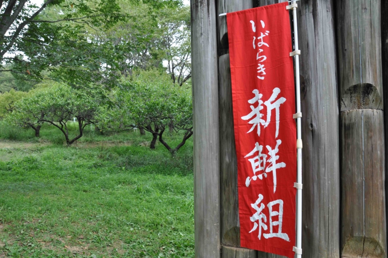 f:id:daisukiibaraki:20140824130557j:image:w640