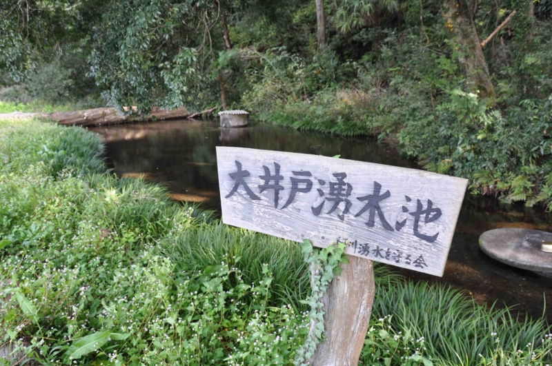 f:id:daisukiibaraki:20141010105304j:image:w640