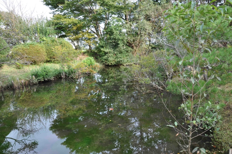 f:id:daisukiibaraki:20141010150916j:image:w640