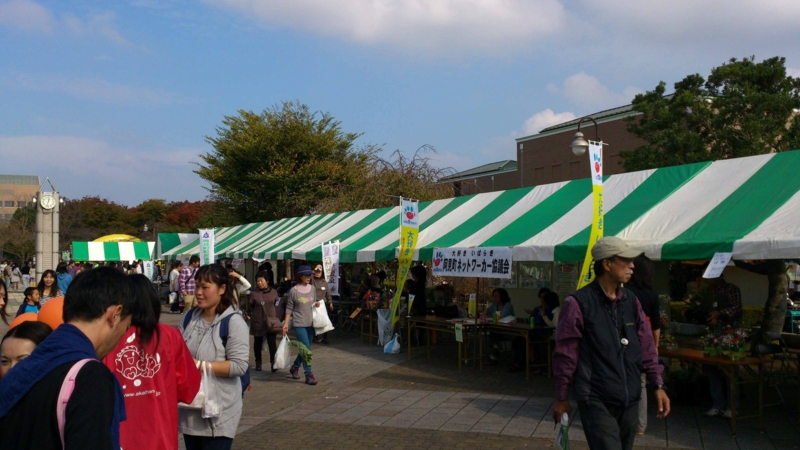 f:id:daisukiibaraki:20141026123218j:image:w640