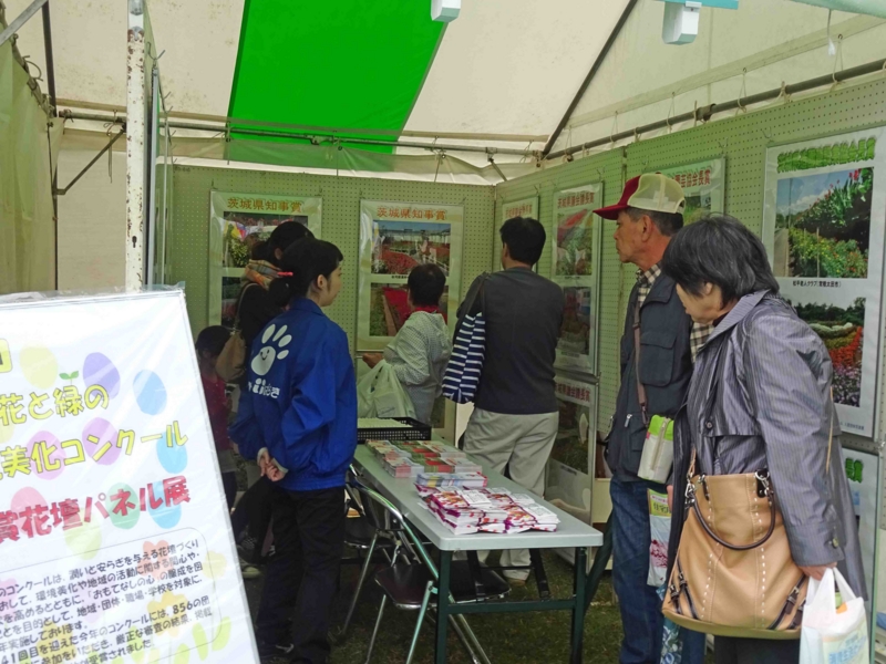 f:id:daisukiibaraki:20141101115759j:image:w640 f:id:daisukiibaraki:20141101115759j:image:w640