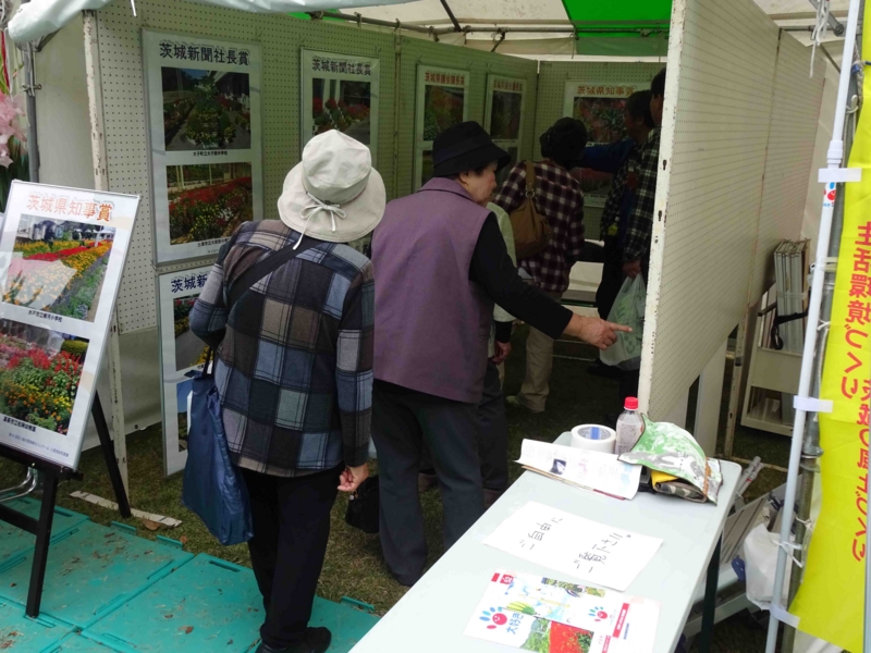 f:id:daisukiibaraki:20141102132553j:image:w640 f:id:daisukiibaraki:20141102132553j:image:w640