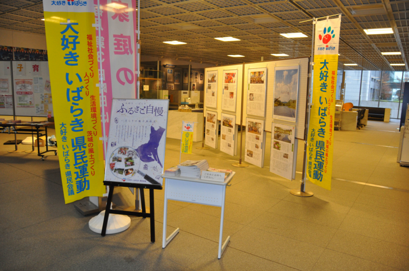 f:id:daisukiibaraki:20141112161246j:image:w640