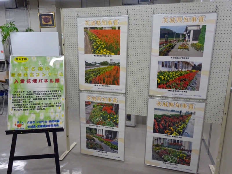 f:id:daisukiibaraki:20141202170439j:image:w640