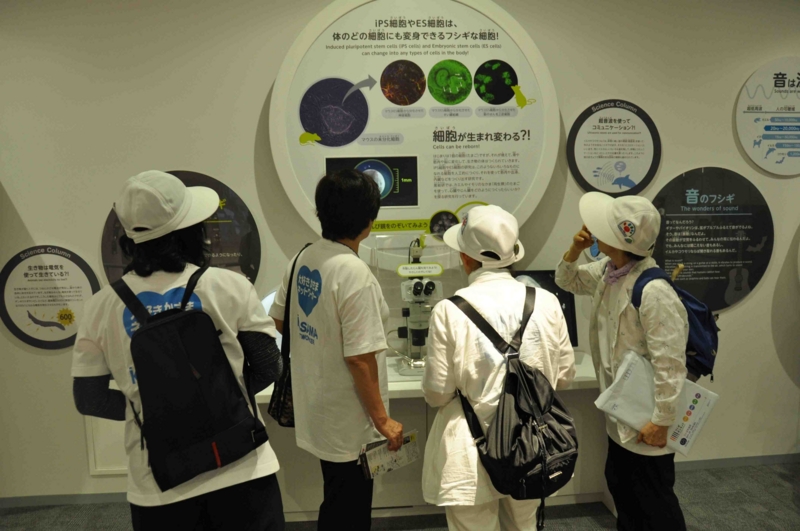 f:id:daisukiibaraki:20150731140646j:image:w640