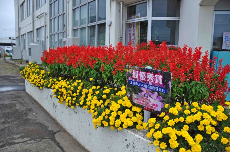 f:id:daisukiibaraki:20151016132639j:image:w640