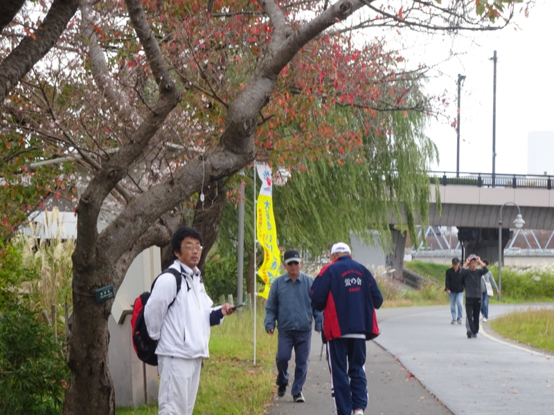 f:id:daisukiibaraki:20151031102432j:image:w360